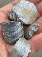 IMG_0616.JPEG